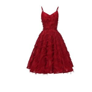Redwine Fringe Sleeveless Dress with feathers. Brand new with tags! 💃